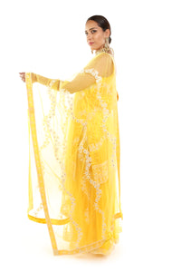 Yellow sharara in net