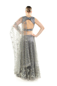 Grey net lahenga/gold embroidery/cequins