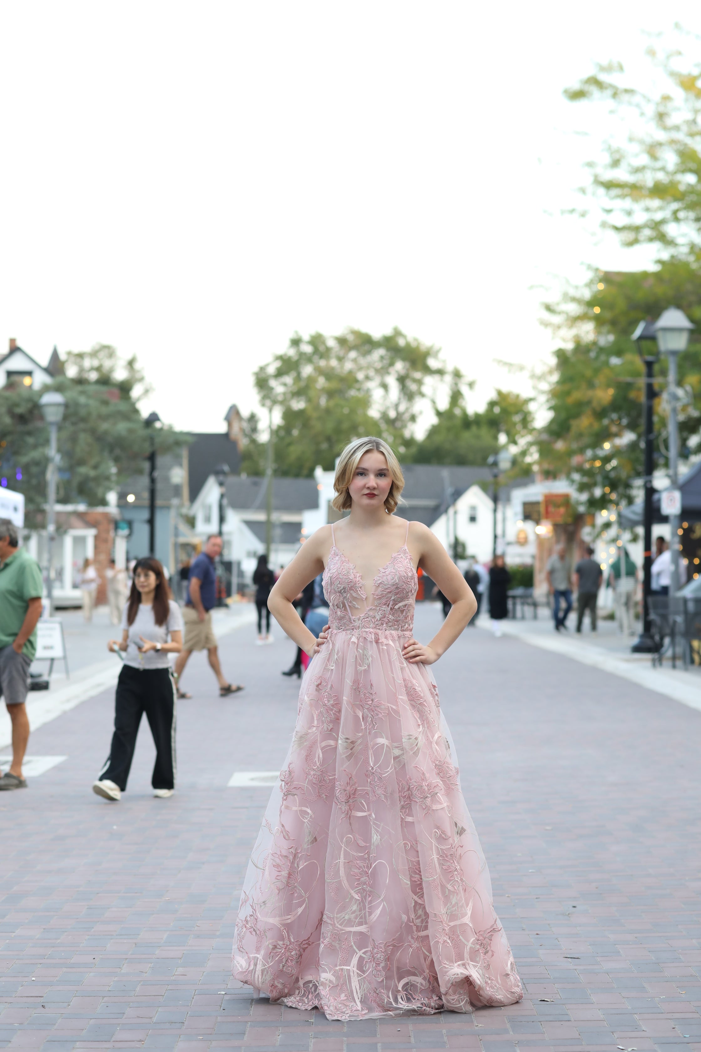 Beautiful Gown
