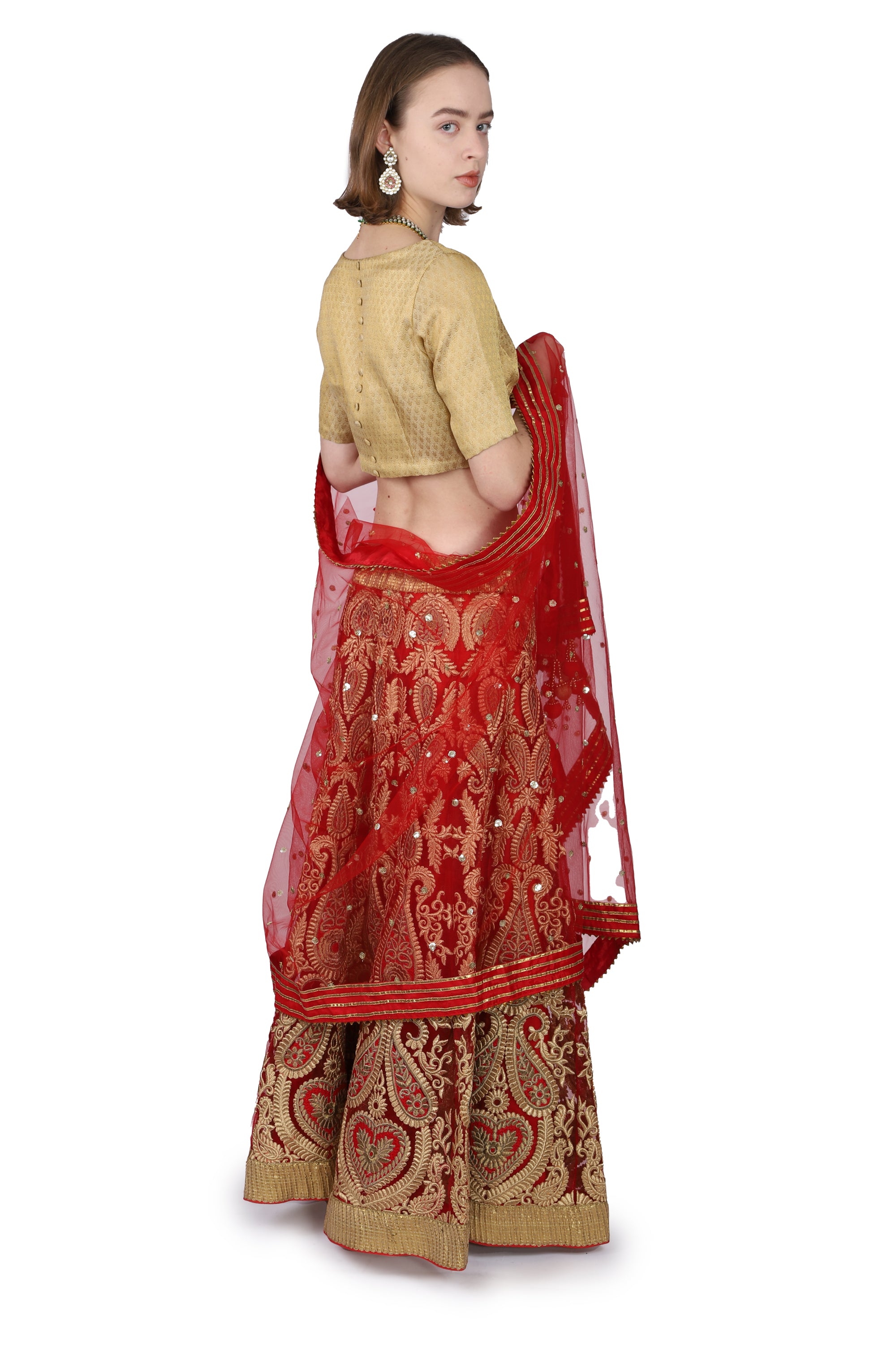 Red and Gold Lahenga/Bridal/Gold Ari Embroidery