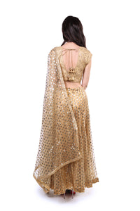 Gold Shimmer Lahenga